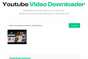 Comparison and Analysis of the Top 5 YouTube Video Download Tools Based on the Search Keyword "YouTube Video Download"