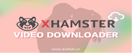 How to Download Videos From XHamster best in 2025